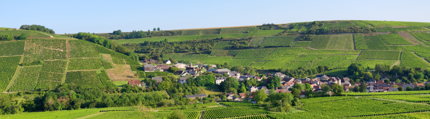 Dolina Loary, Val de Loire IGP