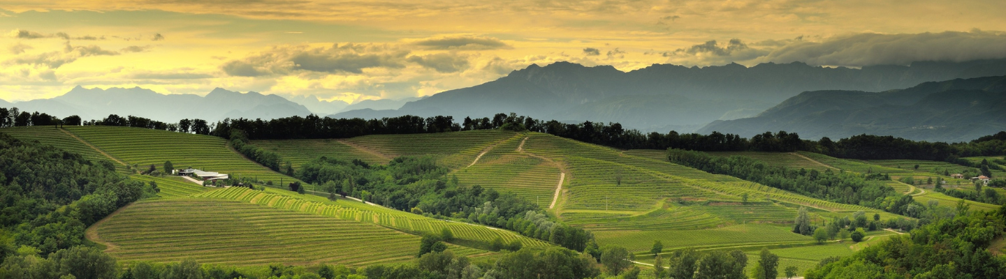 Friulii-Wenecja Julijska, Friuli Grave DOC