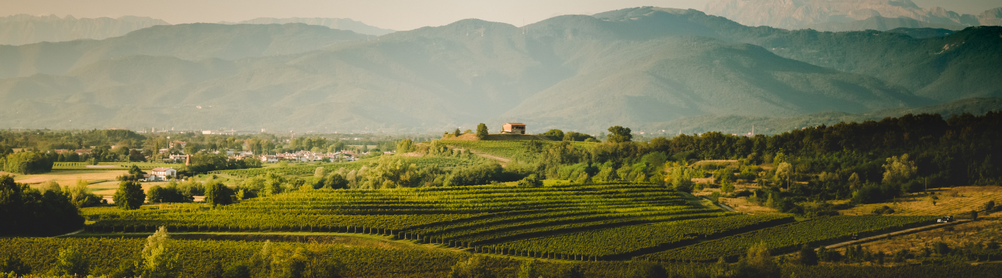 Frulii-Wenecja Julijska, Collio DOC