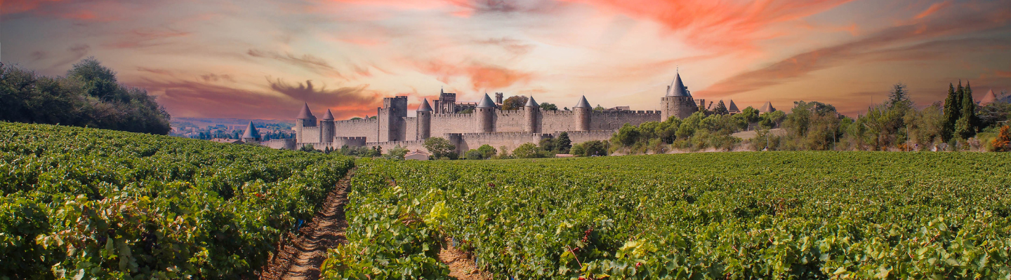 Langwedocja-Roussillon, Cité de Carcassonne IGP