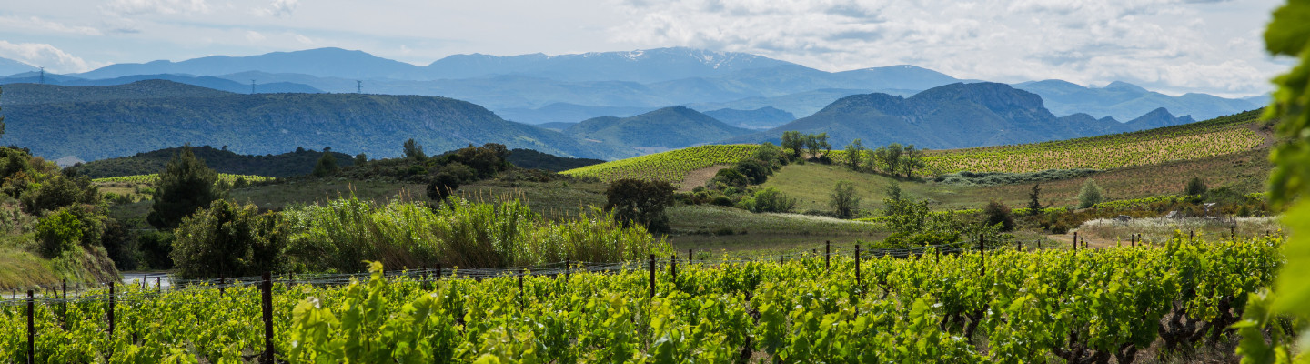 Langwedocja-Roussillon, Corbieres AP