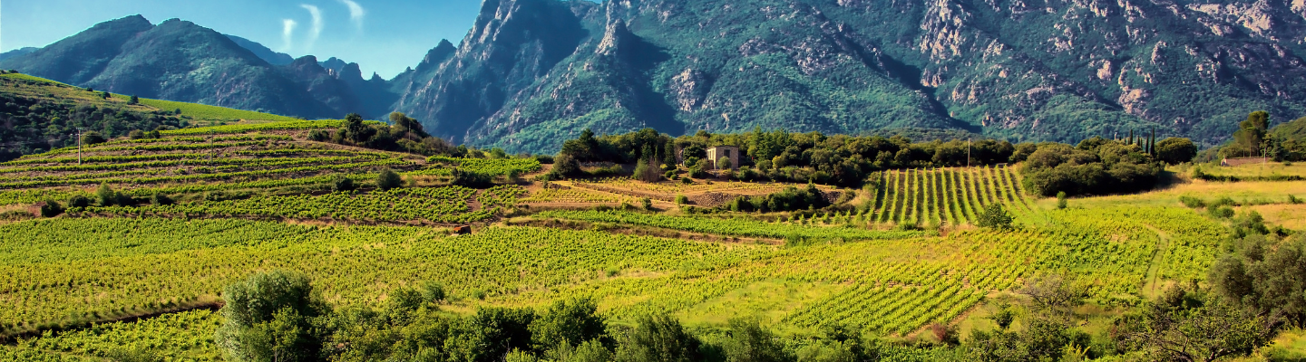 Langwedocja-Roussillon, Languedoc AP