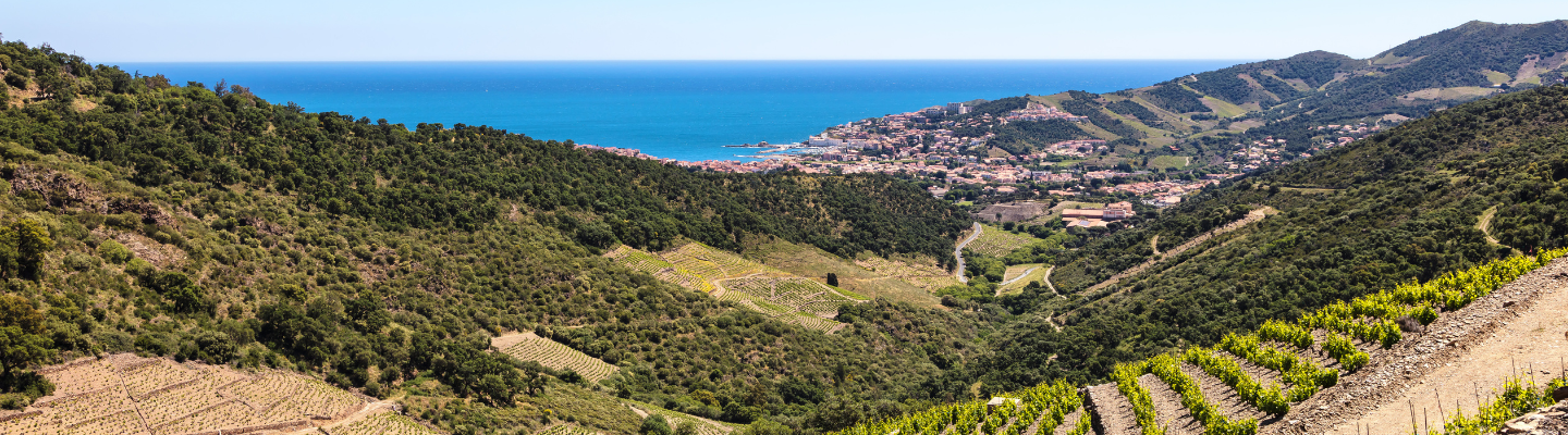 Langwedocja-Roussillon, Pays des Cévennes IGP