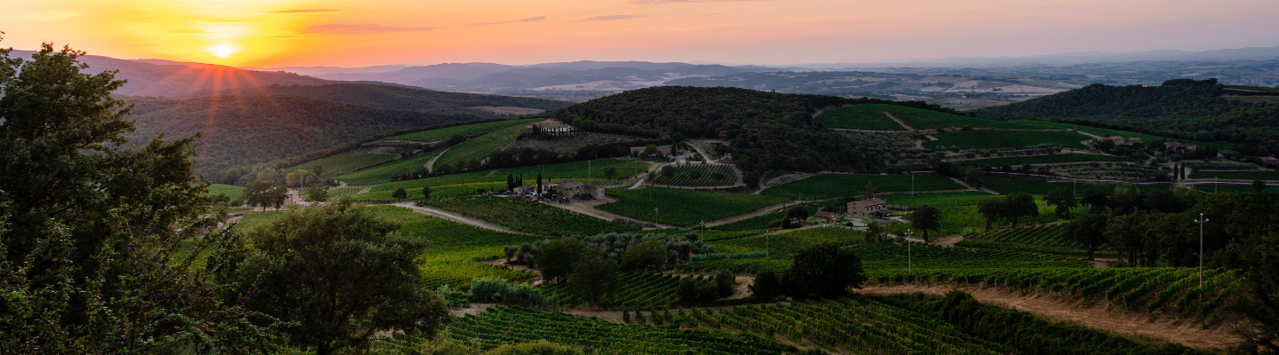 Toskania, Brunello di Montalcino DOCG