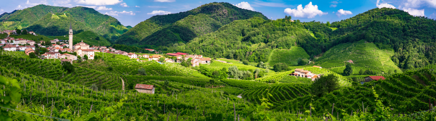 Conegliano Valdobbiadene Prosecco DOCG