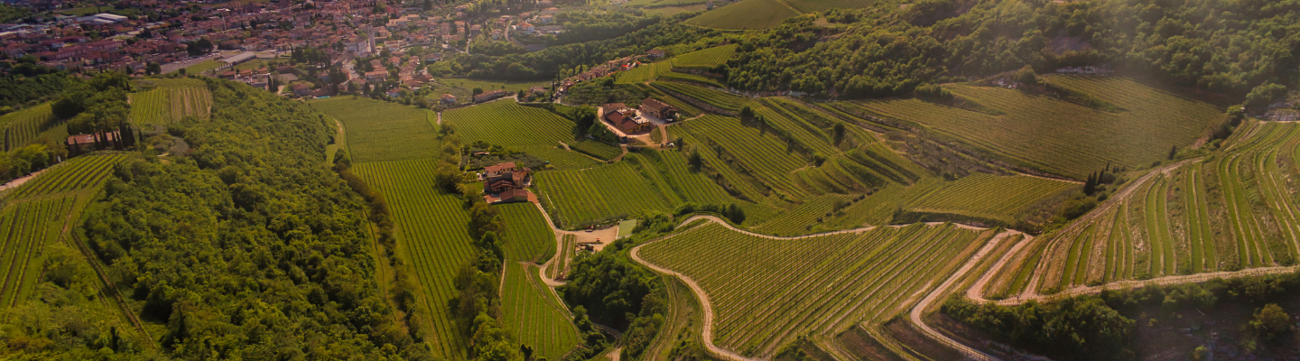 Wenecja Euganejska, Recioto dela Valpolicella DOC