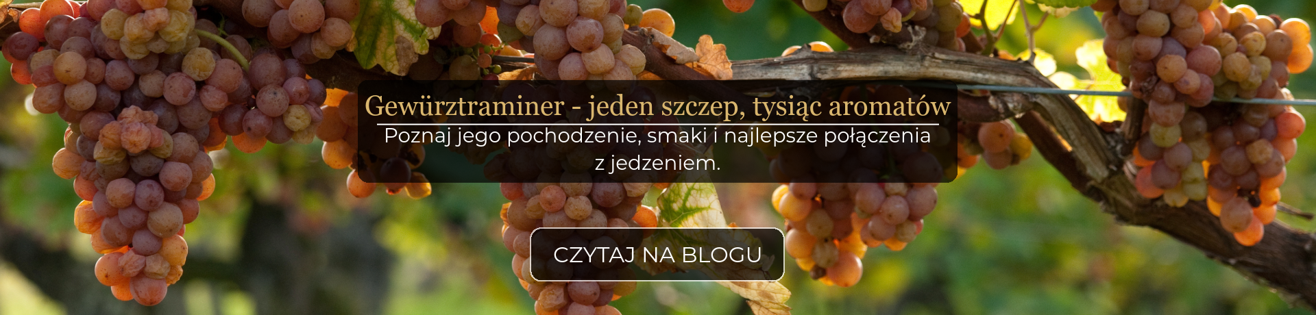 baner desktop_dobry początek roku to muss